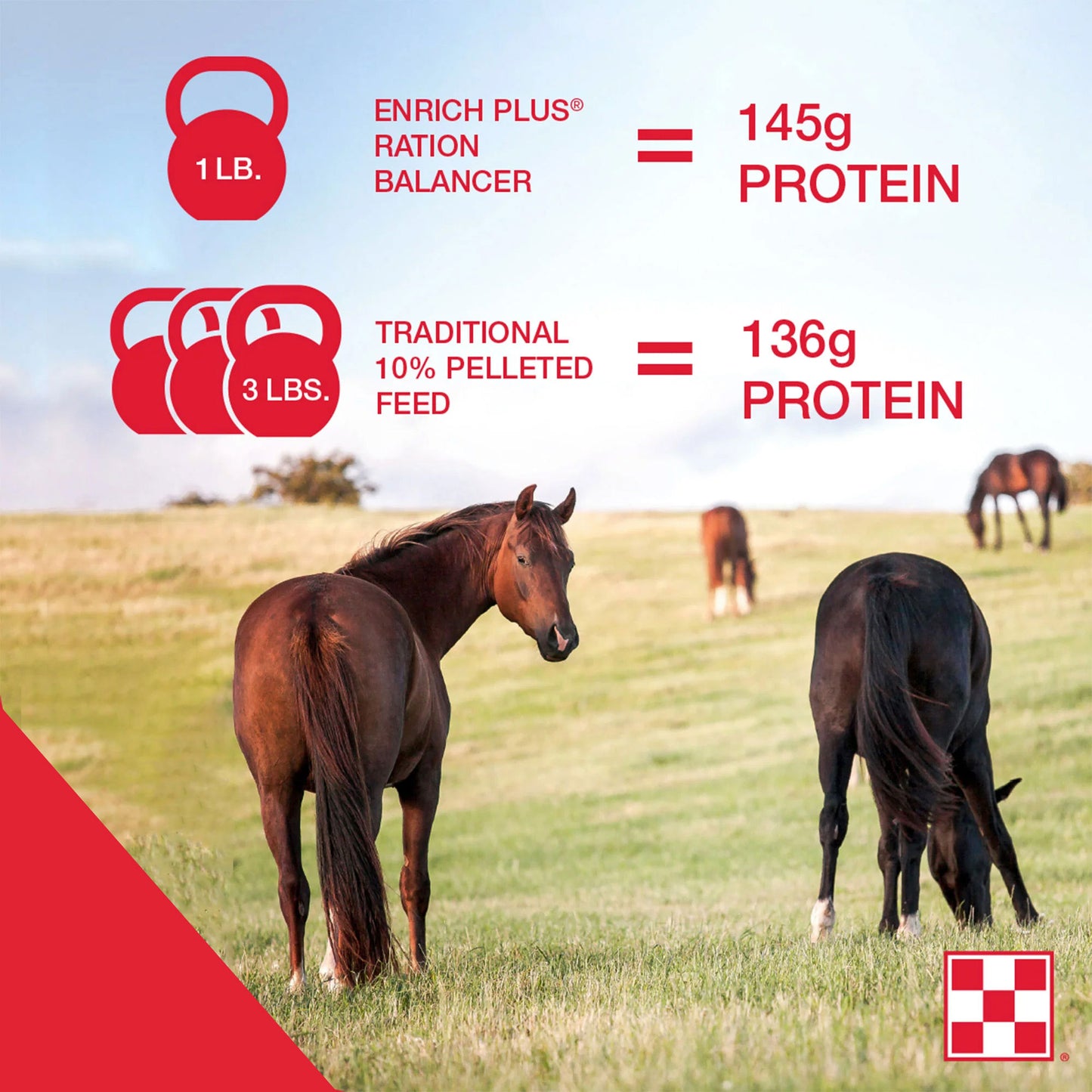 1 pound of Enrich Pus is equal to 145 grams of protein