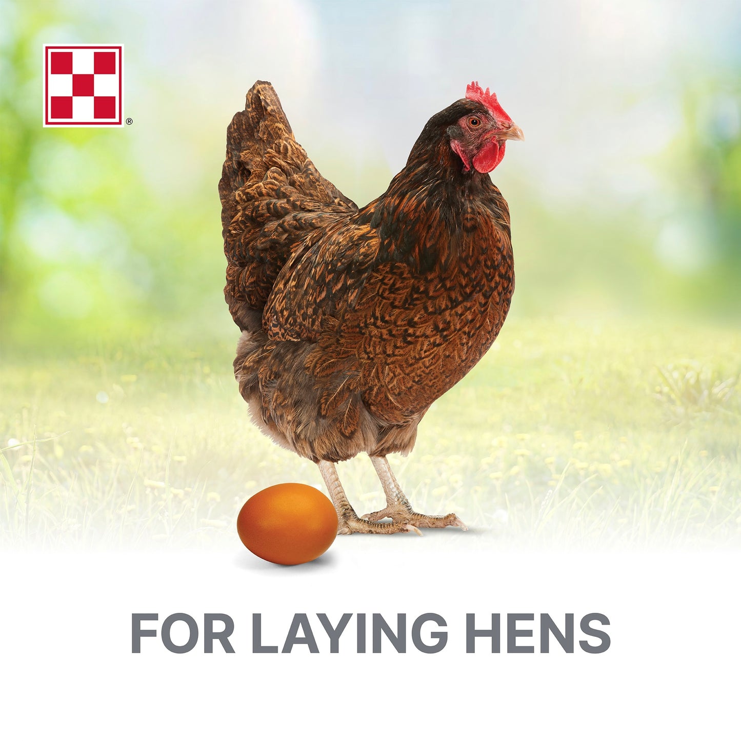 Purina® Layena® Pearls Feed