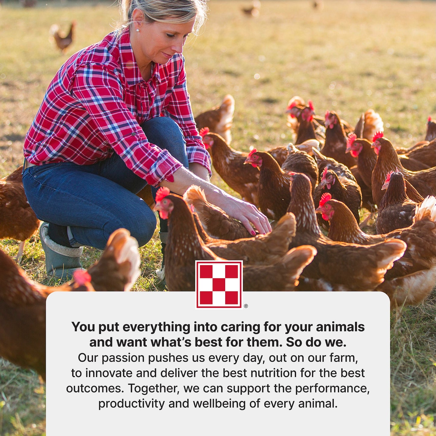 Purina® Layena® Pearls Feed