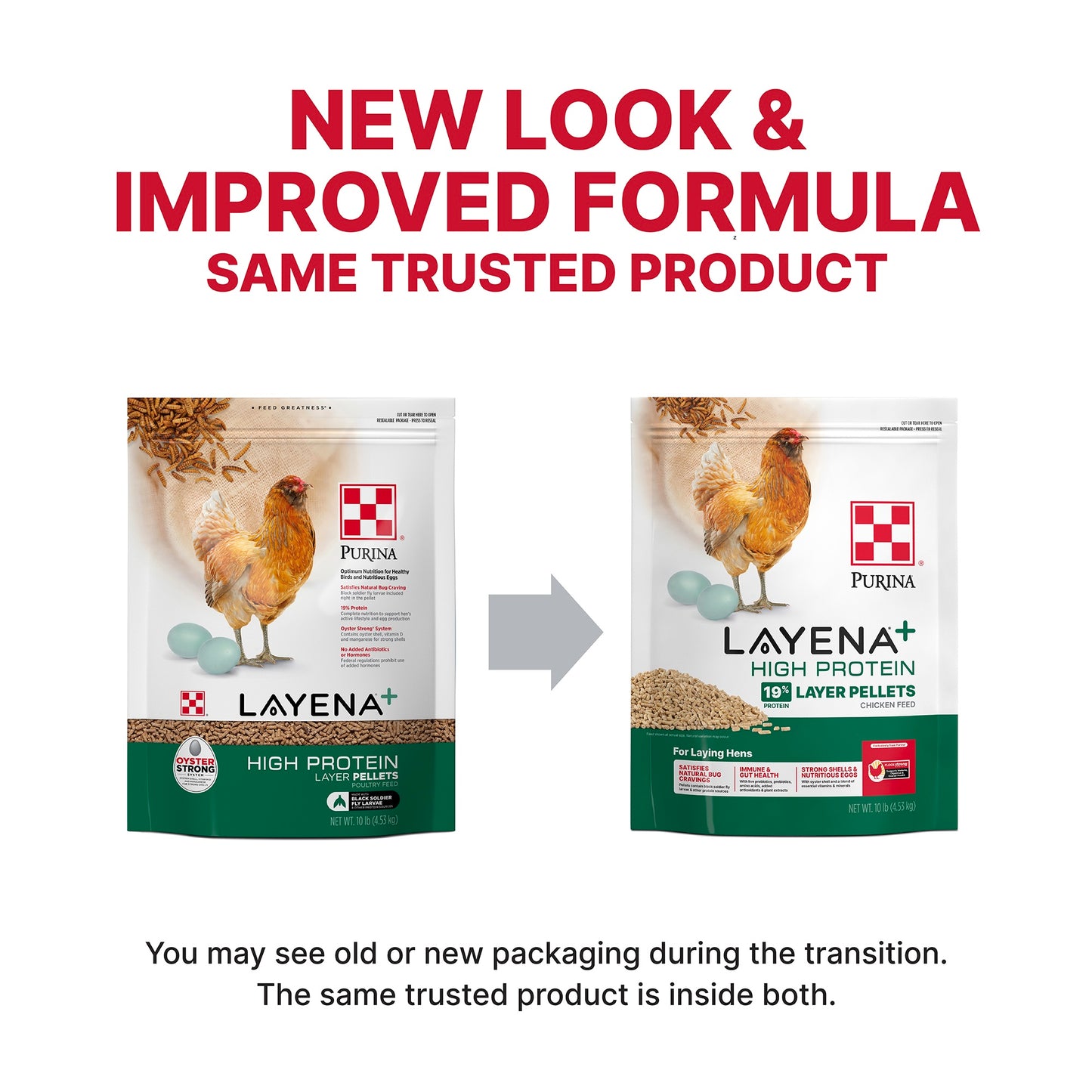 Purina® Layena®+ High Protein Layer Feed