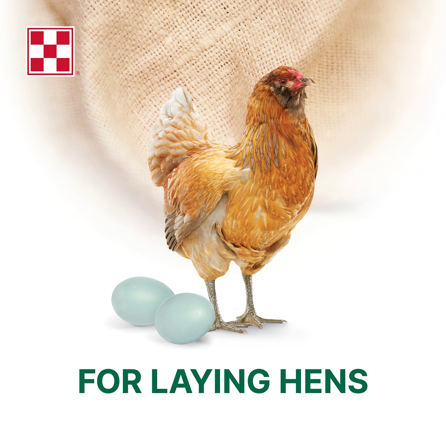 Purina® Layena®+ High Protein Layer Feed