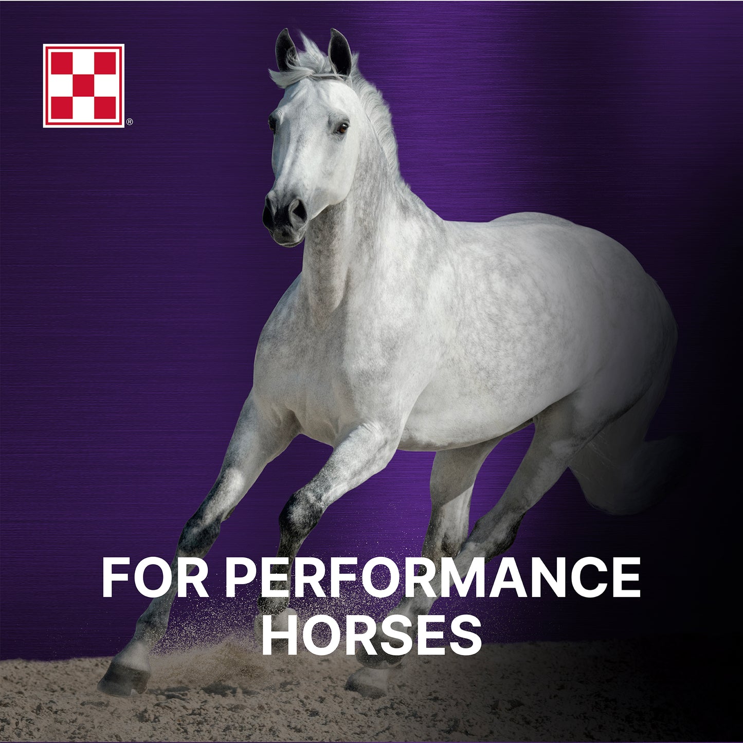 Purina® Ultium® Gastric Care Horse Feed