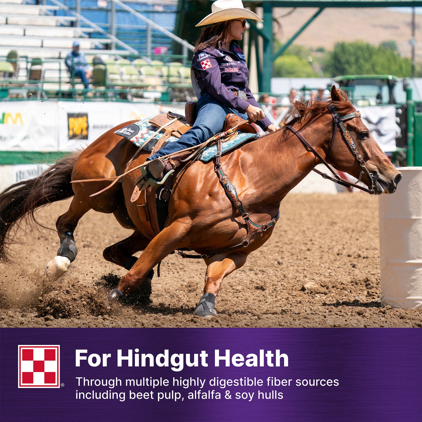 Purina® Ultium® Gastric Care Horse Feed