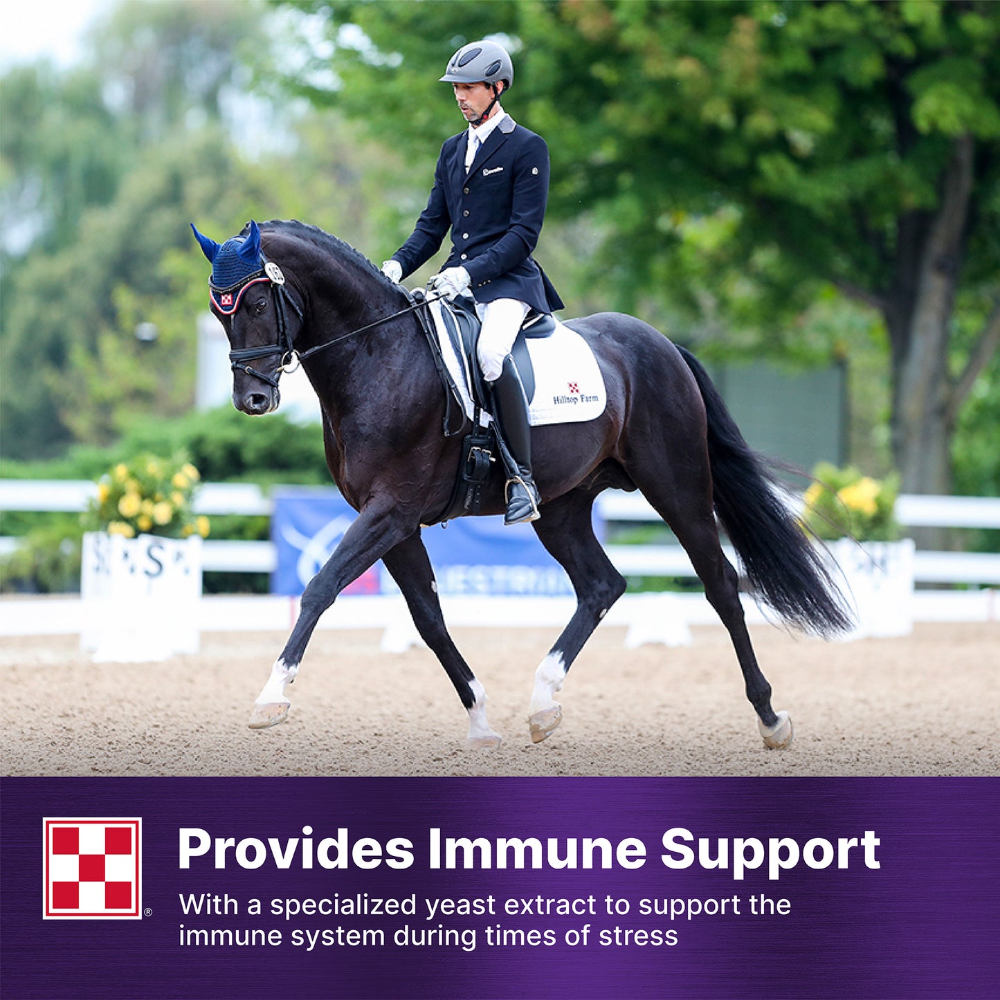 Purina® Ultium® Gastric Care Horse Feed