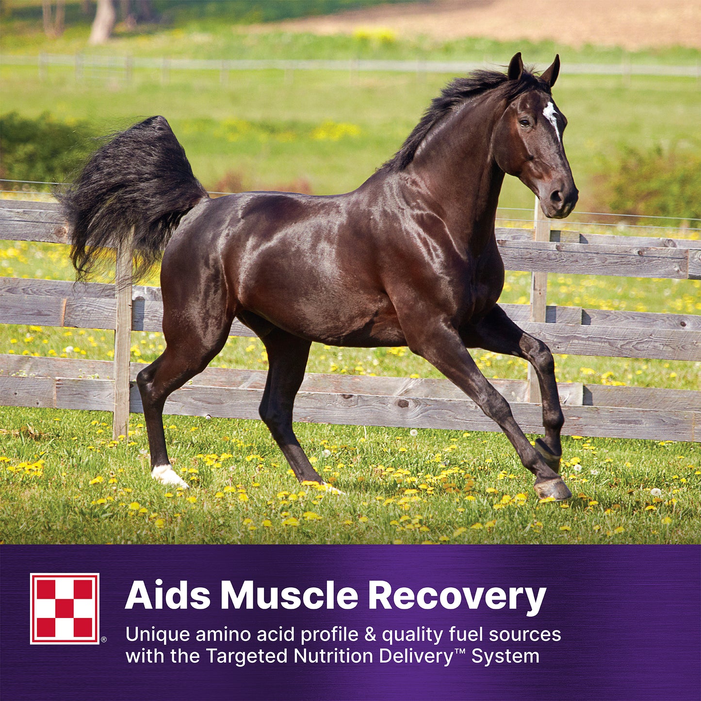 Purina® Ultium® Gastric Care Horse Feed