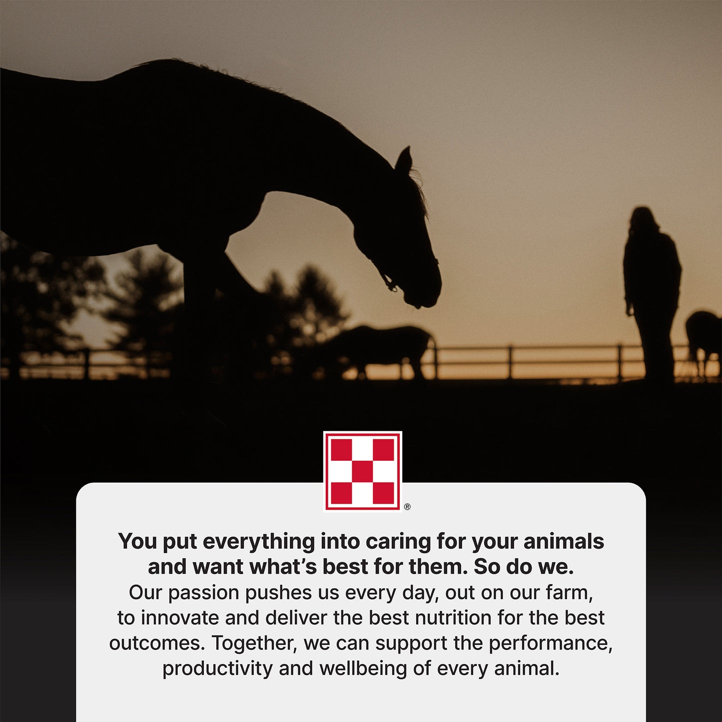 Purina® Ultium® Gastric Care Horse Feed