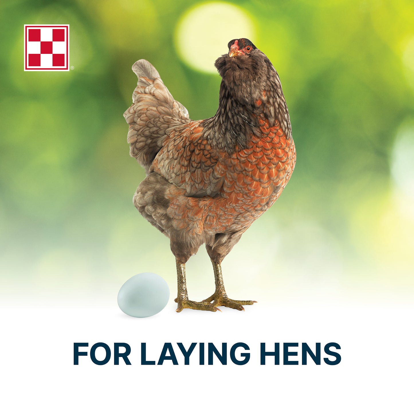 Purina® Organic Layer Pellets Chicken Food