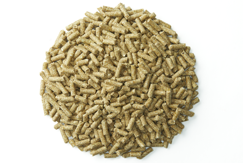Purina® Systemiq® Probiotic Horse Supplement