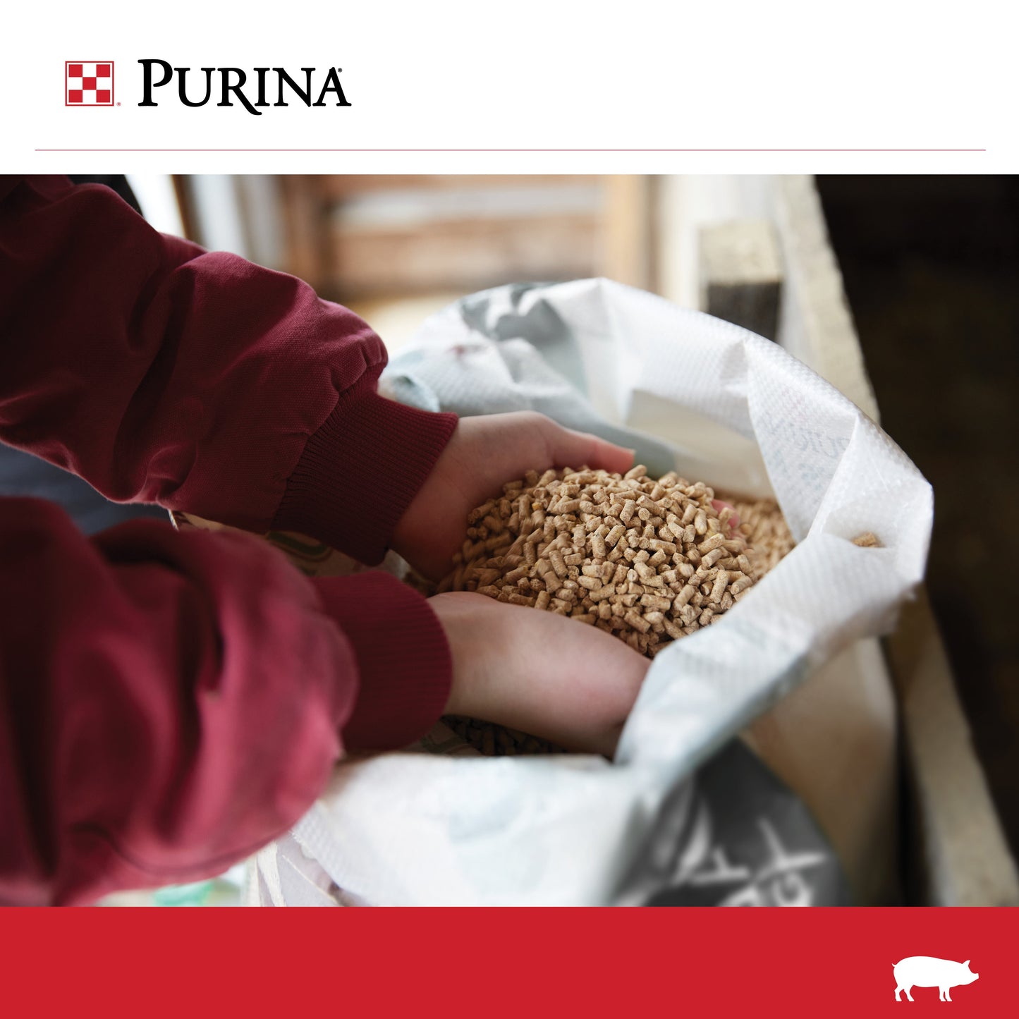 A person holding the pelleted feed in their hands