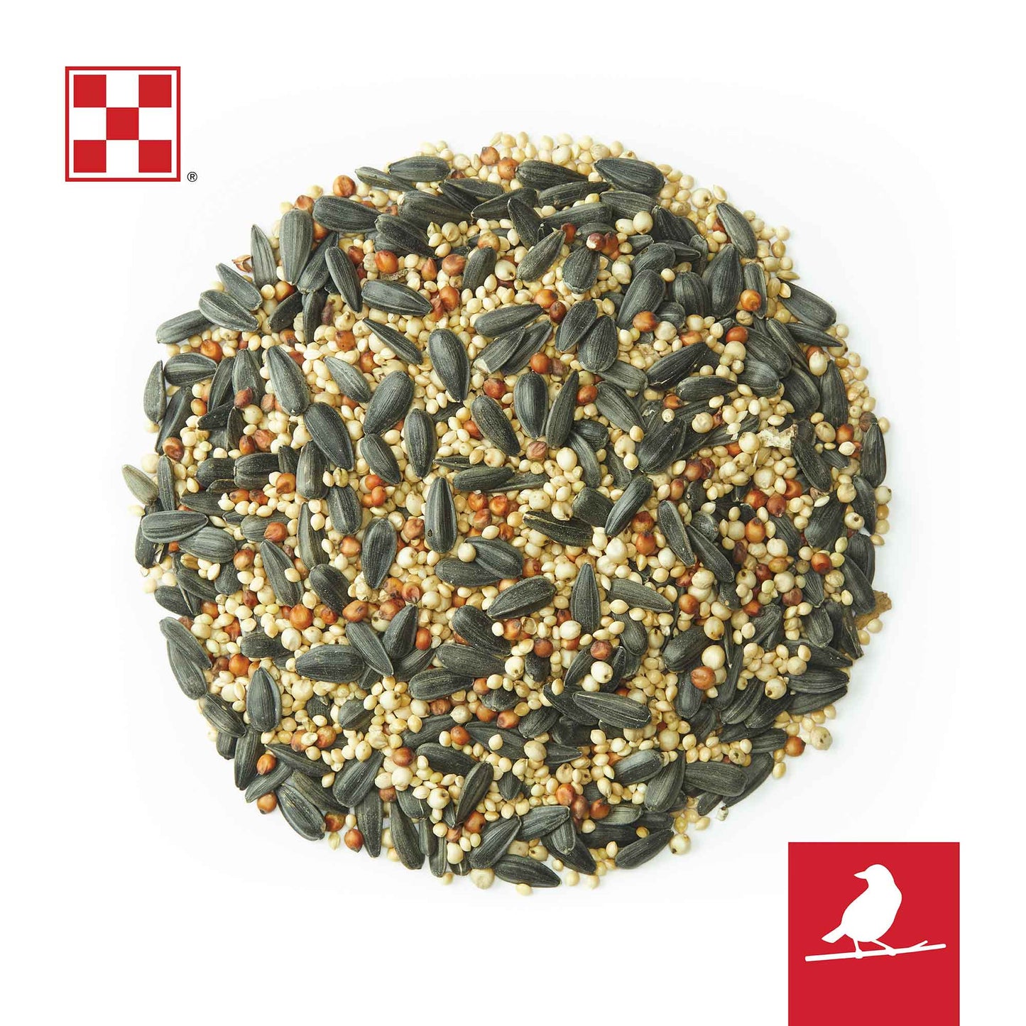 Black sunflower seeds and smaller round seeds in a circle.