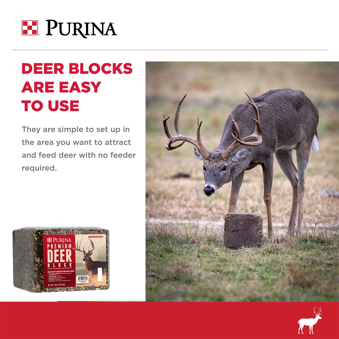 A deer standing next to the block in a grass field
