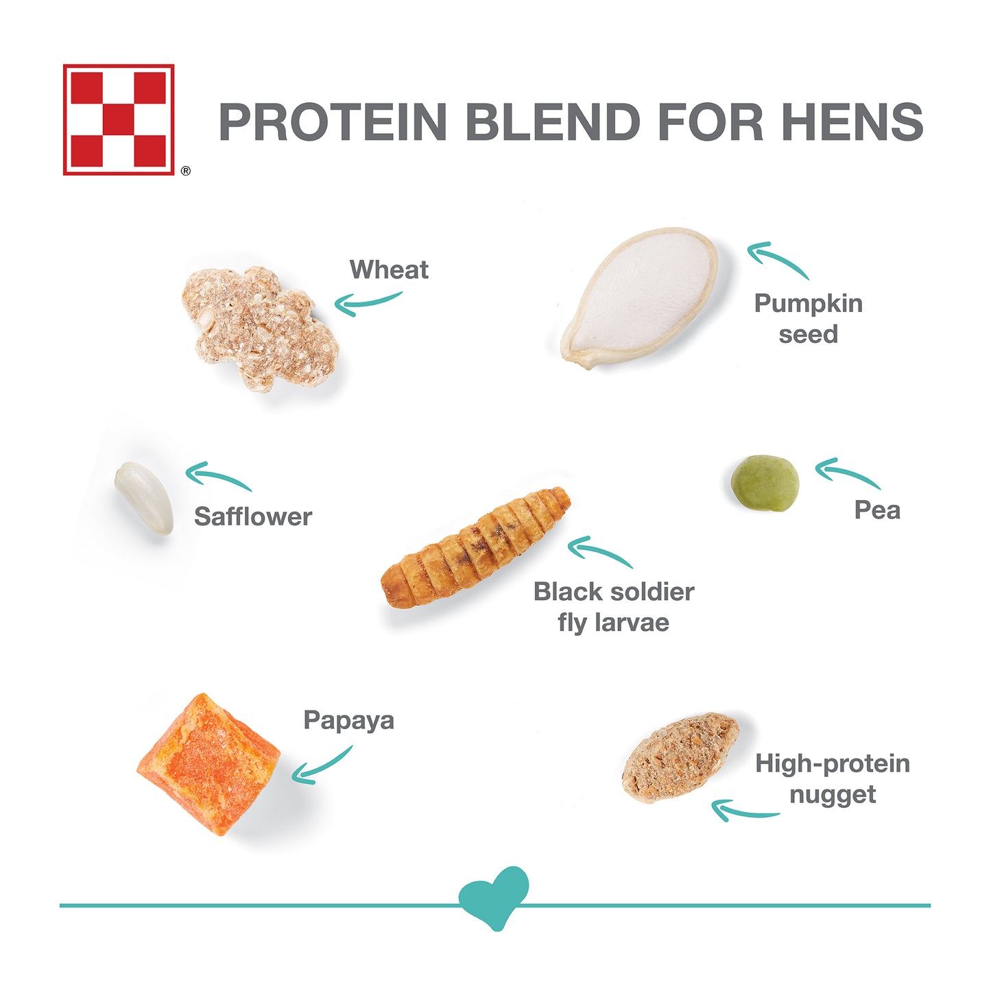 All the ingredients laid out one by one