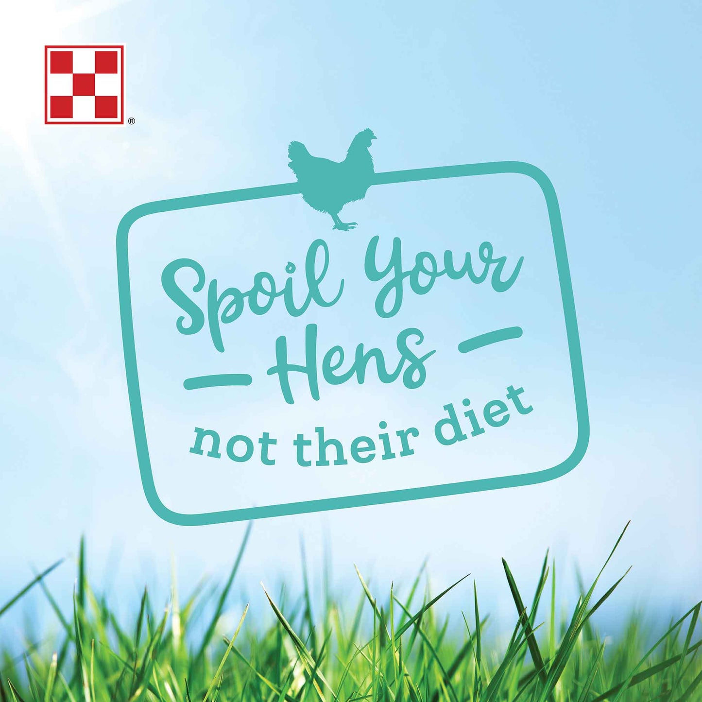 Spoil your Hens