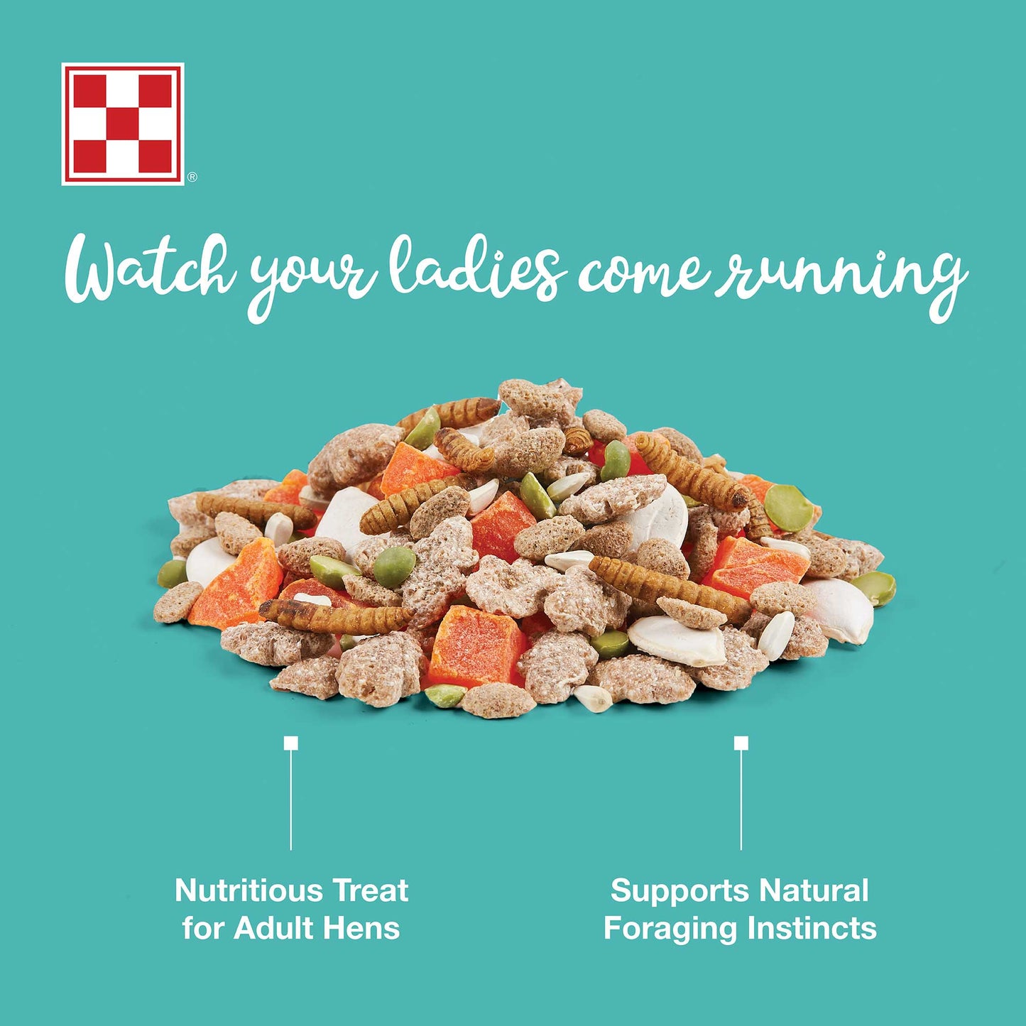 The hen treats piled in the center on a blue background
