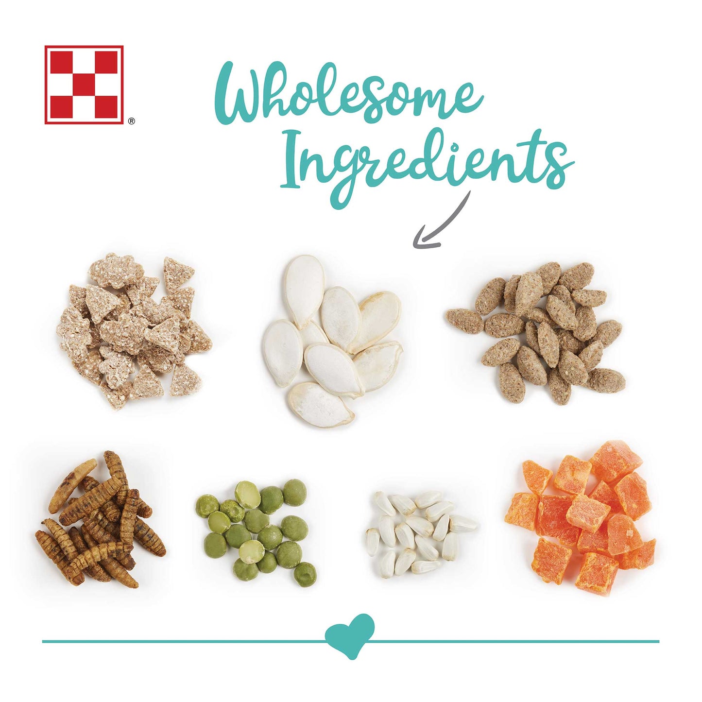 All the ingredients piled together