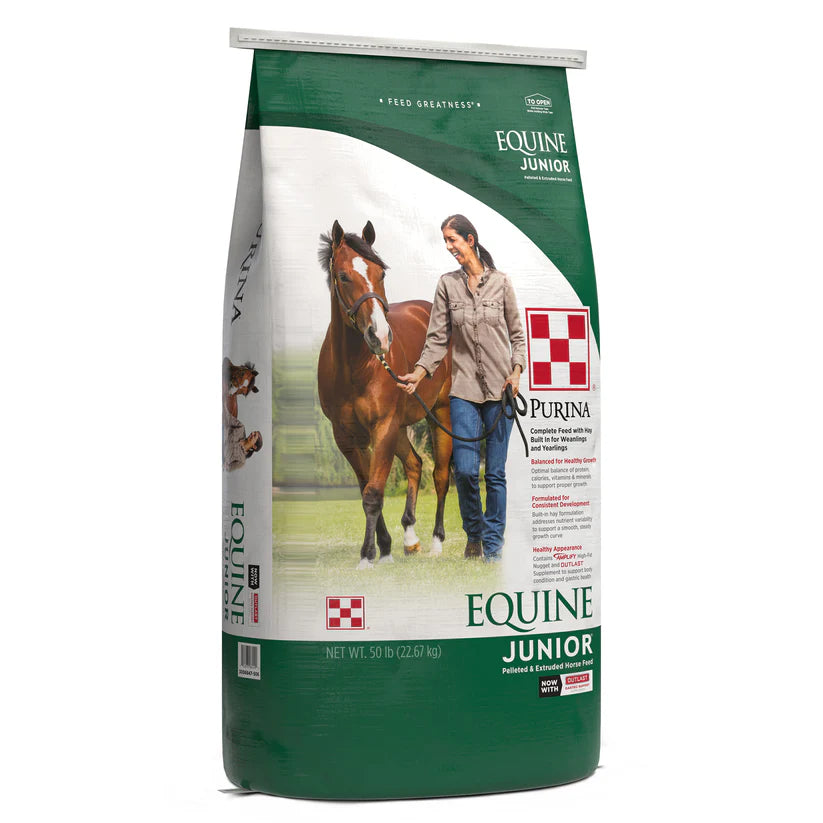 Test Product Horse