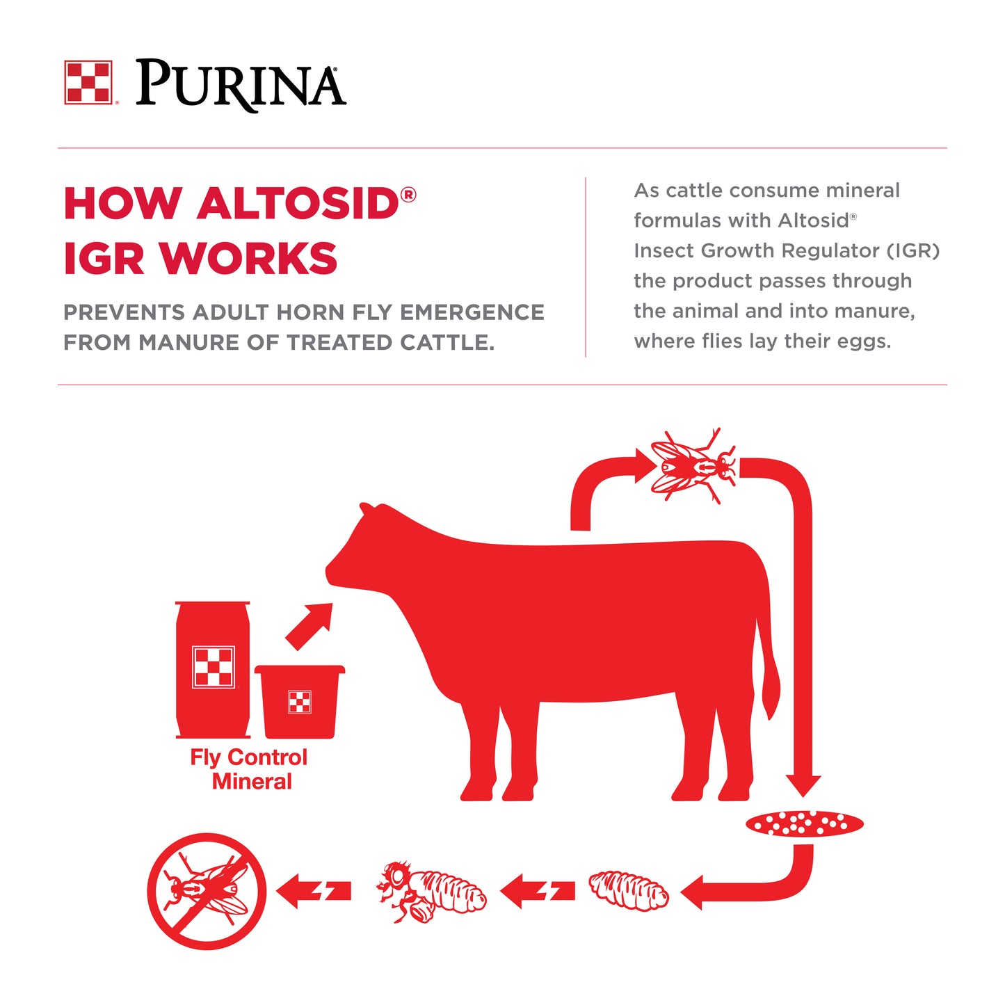 Purina® Wind & Rain® 7.5 Cattle Mineral With Altosid for Fly Control –  Purina Animal Nutrition