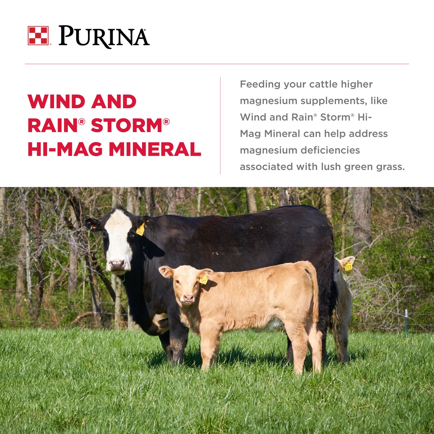 Formulated with 10% magnesium which supports the prevention of grass tetany