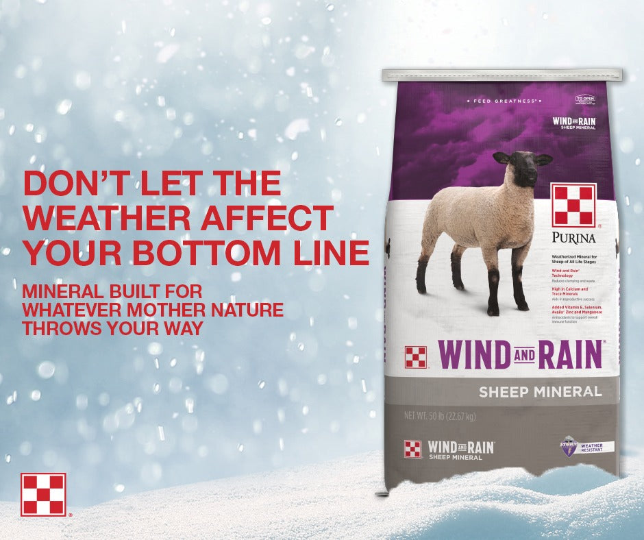 Purina® Wind & Rain® Sheep Mineral