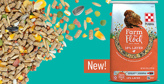 Greatness Starts Here - shop.purinamills.com – Purina Animal Nutrition
