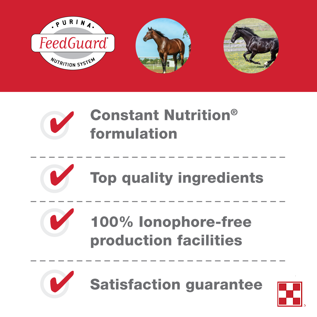 Purina® Amplify® High-Fat Horse Supplement