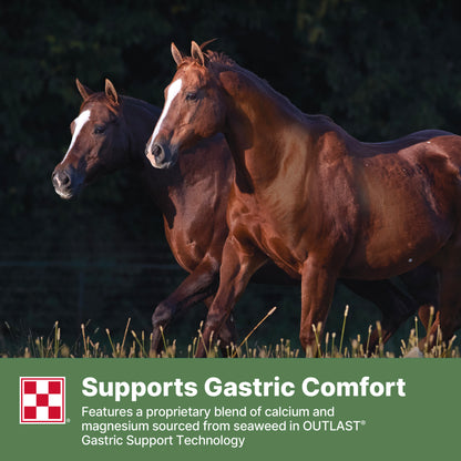 Purina® Forage Alfalfa Gastric Support Pellets, 40 Pound Bag