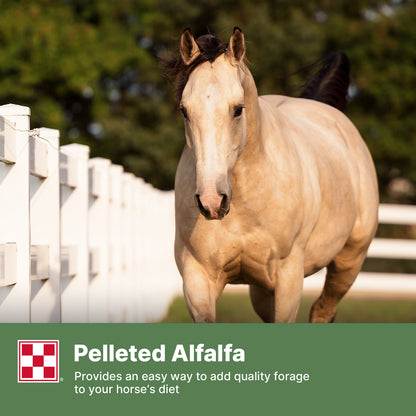 Purina® Forage Alfalfa Gastric Support Pellets, 40 Pound Bag