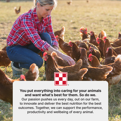 Purina® Layena® Crumbles Chicken Food