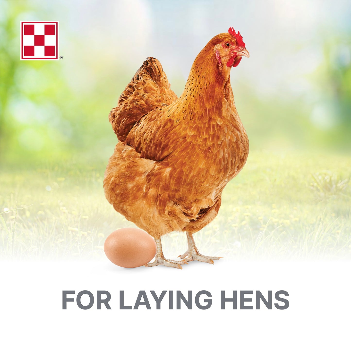 Purina® Layena® Pellets Chicken Feed