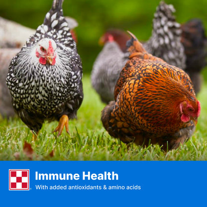 Purina® Layena® Pellets Chicken Feed