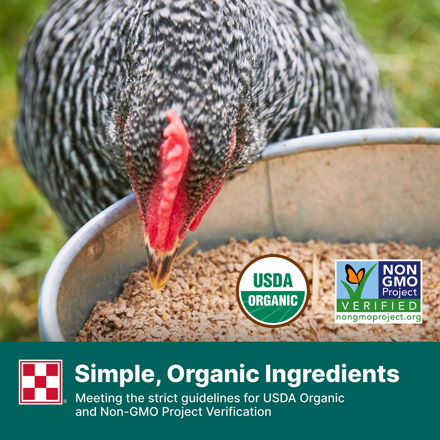 Purina® Organic Layer Crumbles Chicken Feed