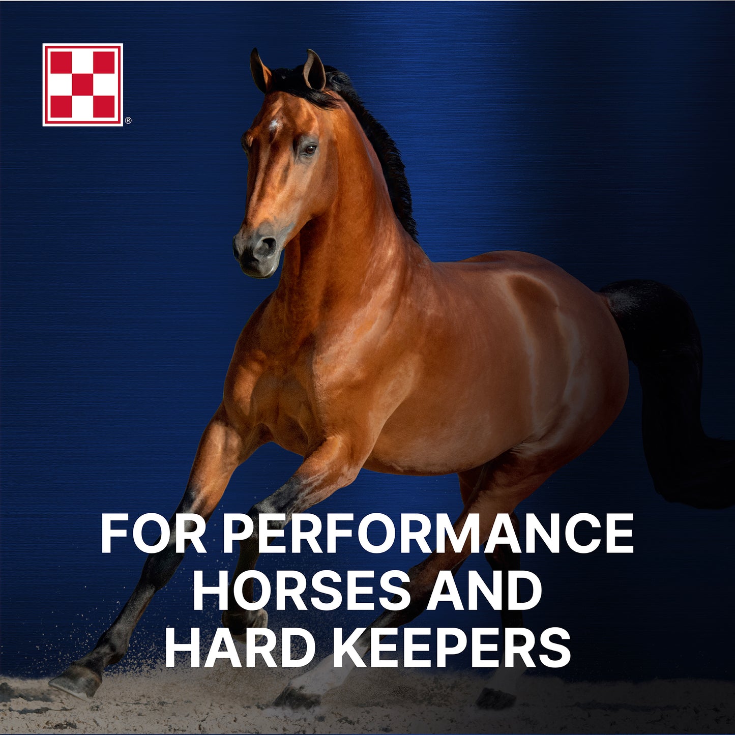 Purina® Ultium® Competition Horse Formula