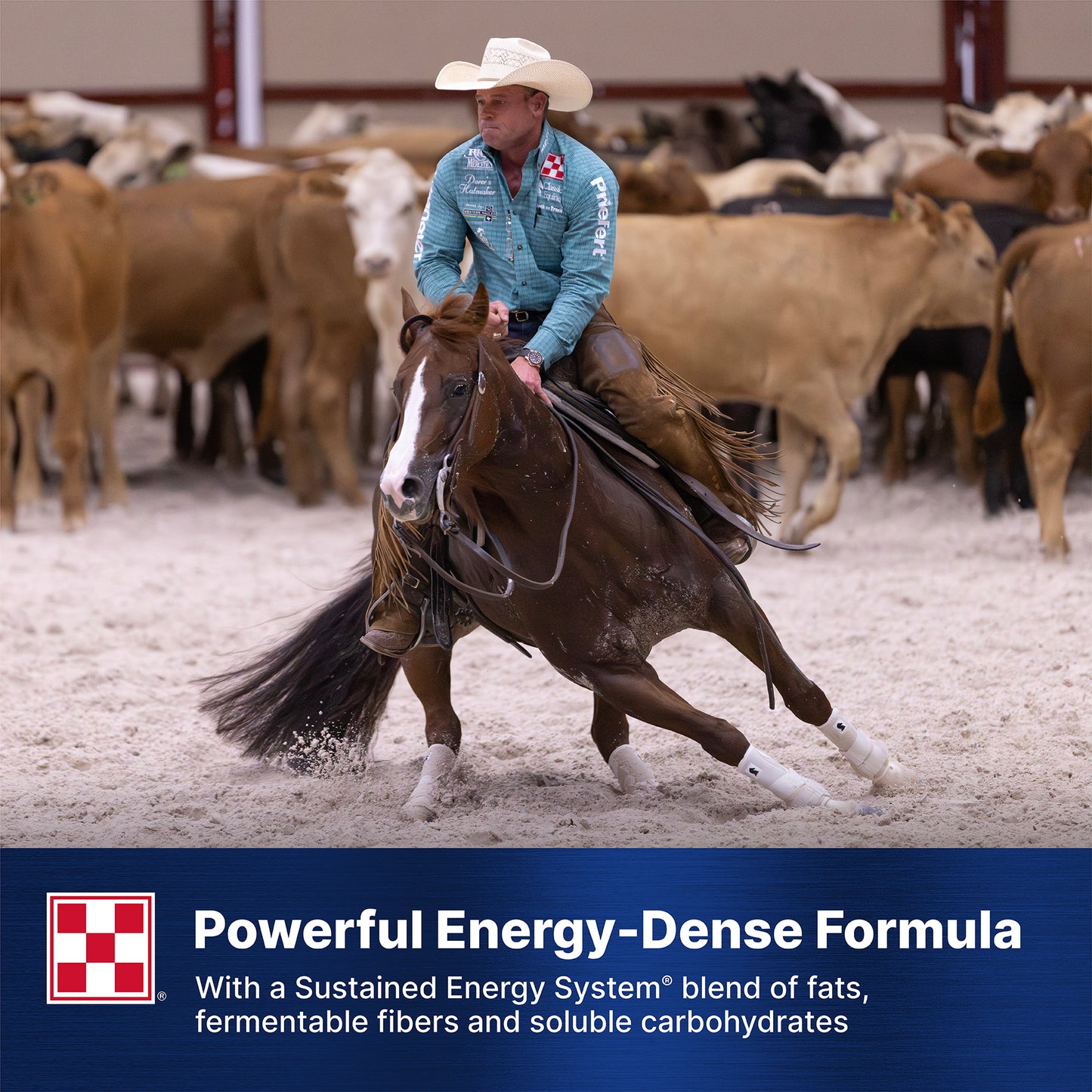 Purina® Ultium® Competition Horse Formula
