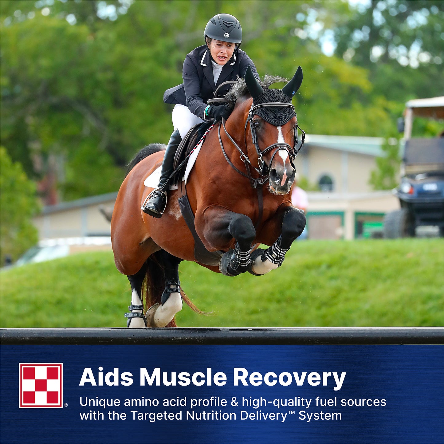 Purina® Ultium® Competition Horse Formula