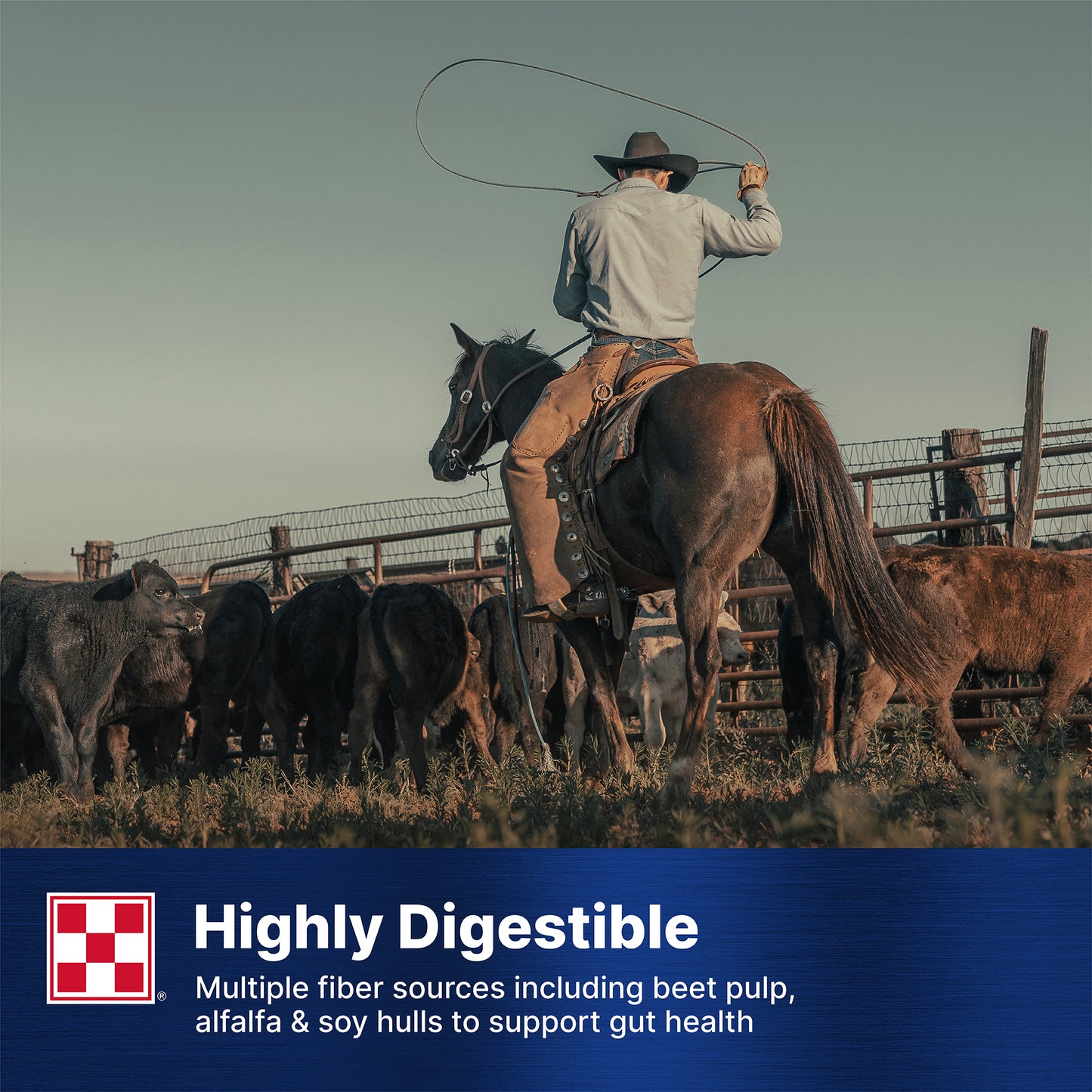 Purina® Ultium® Competition Horse Formula
