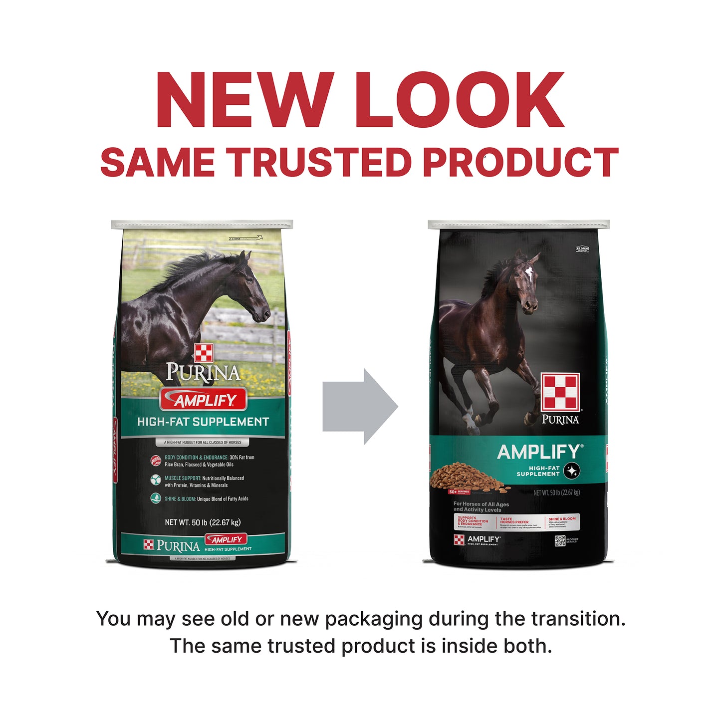 Purina® Amplify® High-Fat Horse Supplement