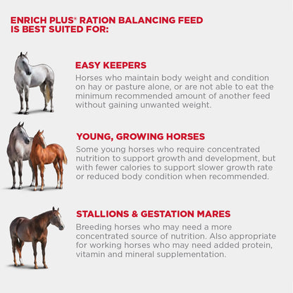 Enrich plus is best suited for easy keeps, young, growing horses, stallions and gestation mares