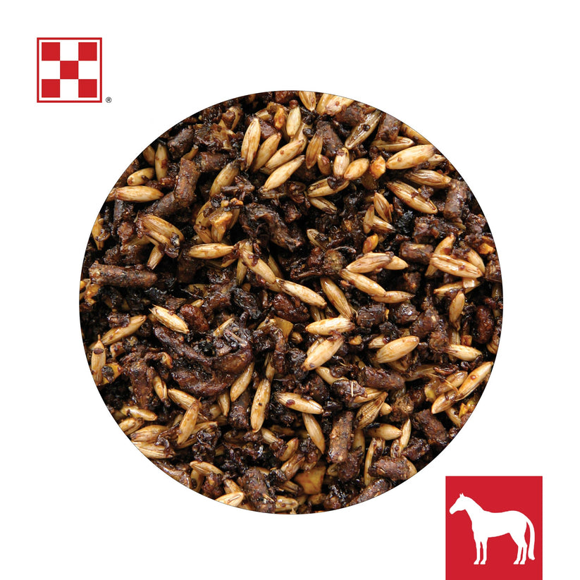 Purina® Race Ready® Horse Feed Now with Outlast® Gastric Support