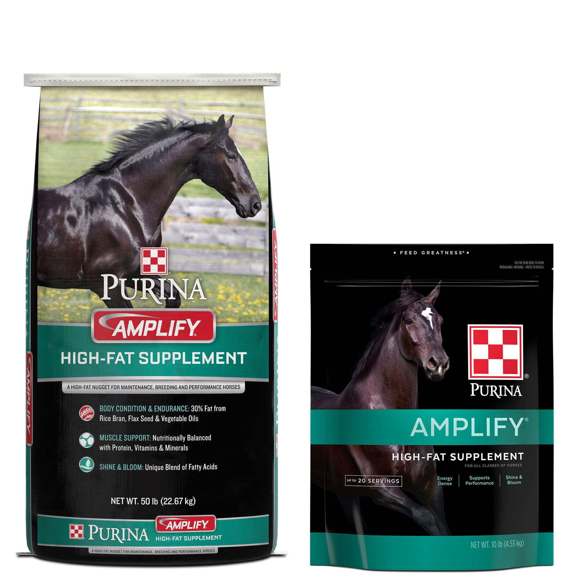 Purina Amplify 50 Pound bag and 10 Pound Bag grouped together