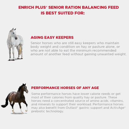 Enrich Plus Senior is best for Aging Easy Keepers and Performance Horses of Any Age