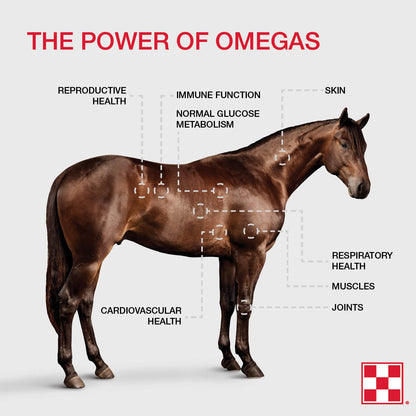 The Power of Omegas