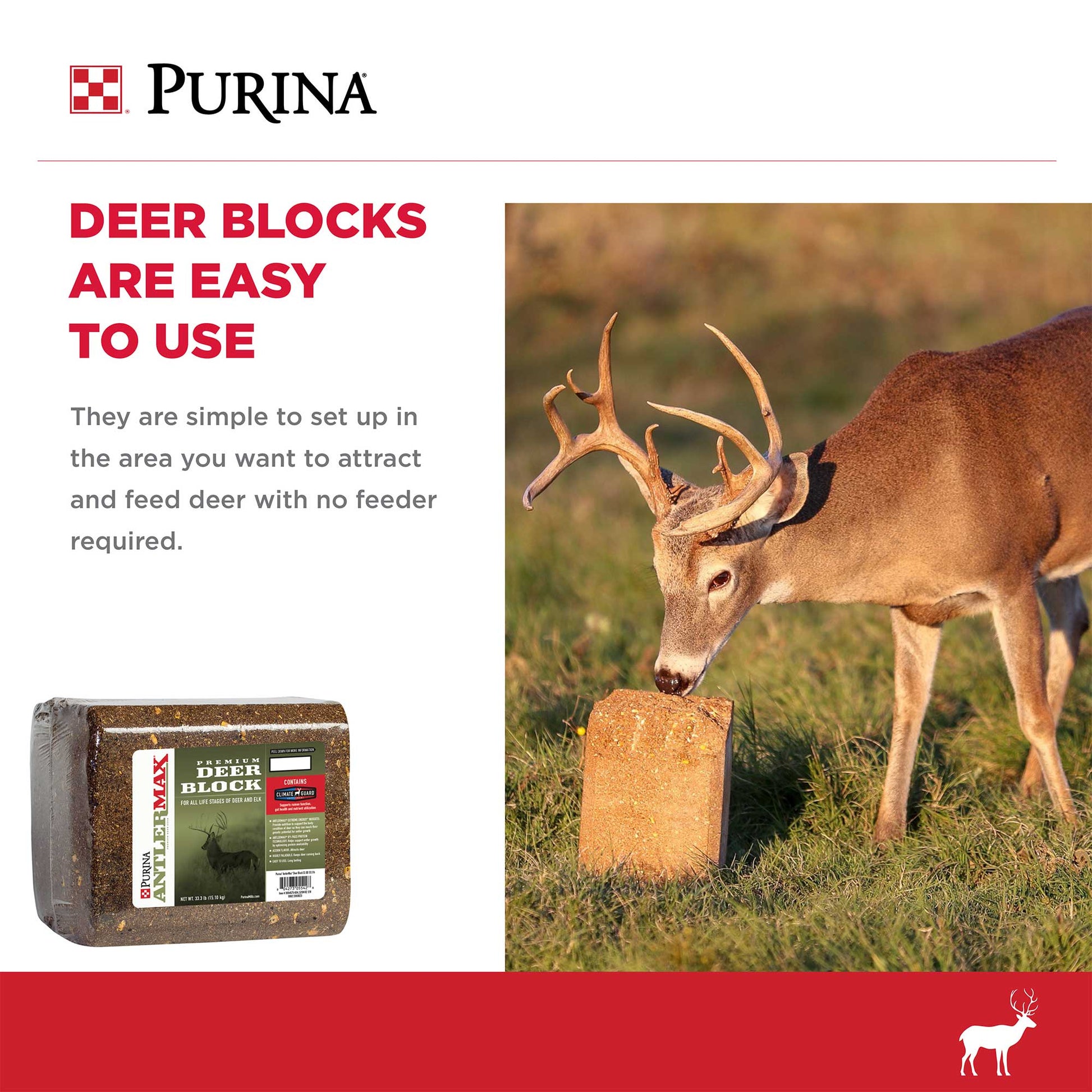 A deer eating the Purina block in a grass field