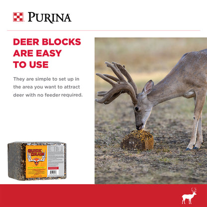A Buck eating the Quick Draw block in a field