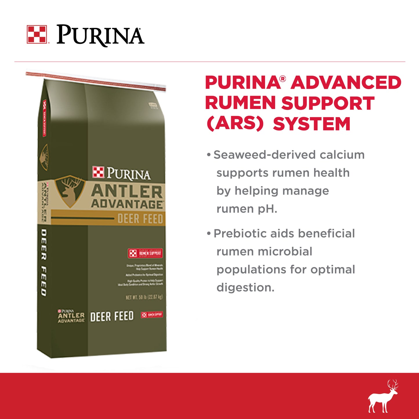 Advanced Rumen Support