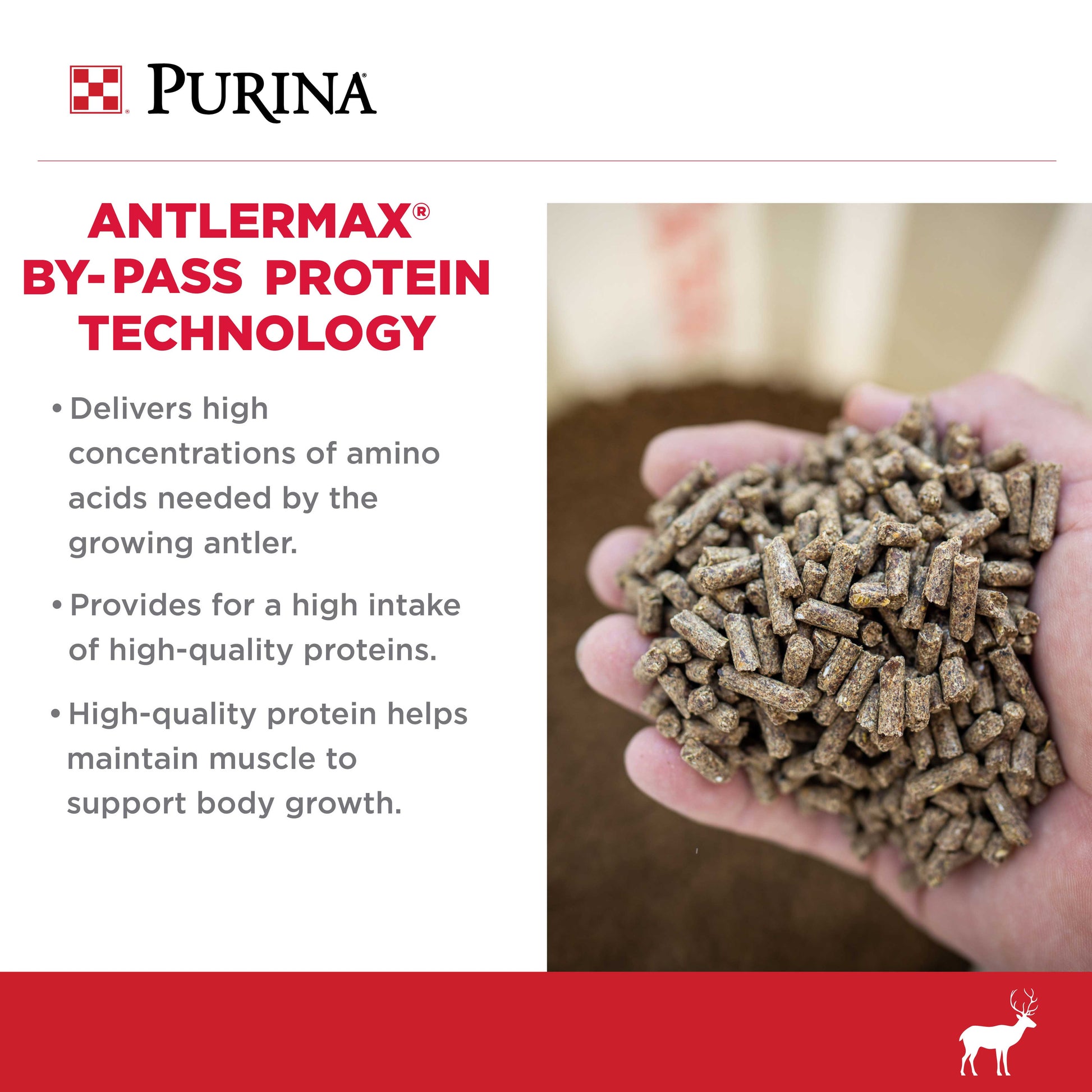 AntlerMax By-Pass protein Technology 