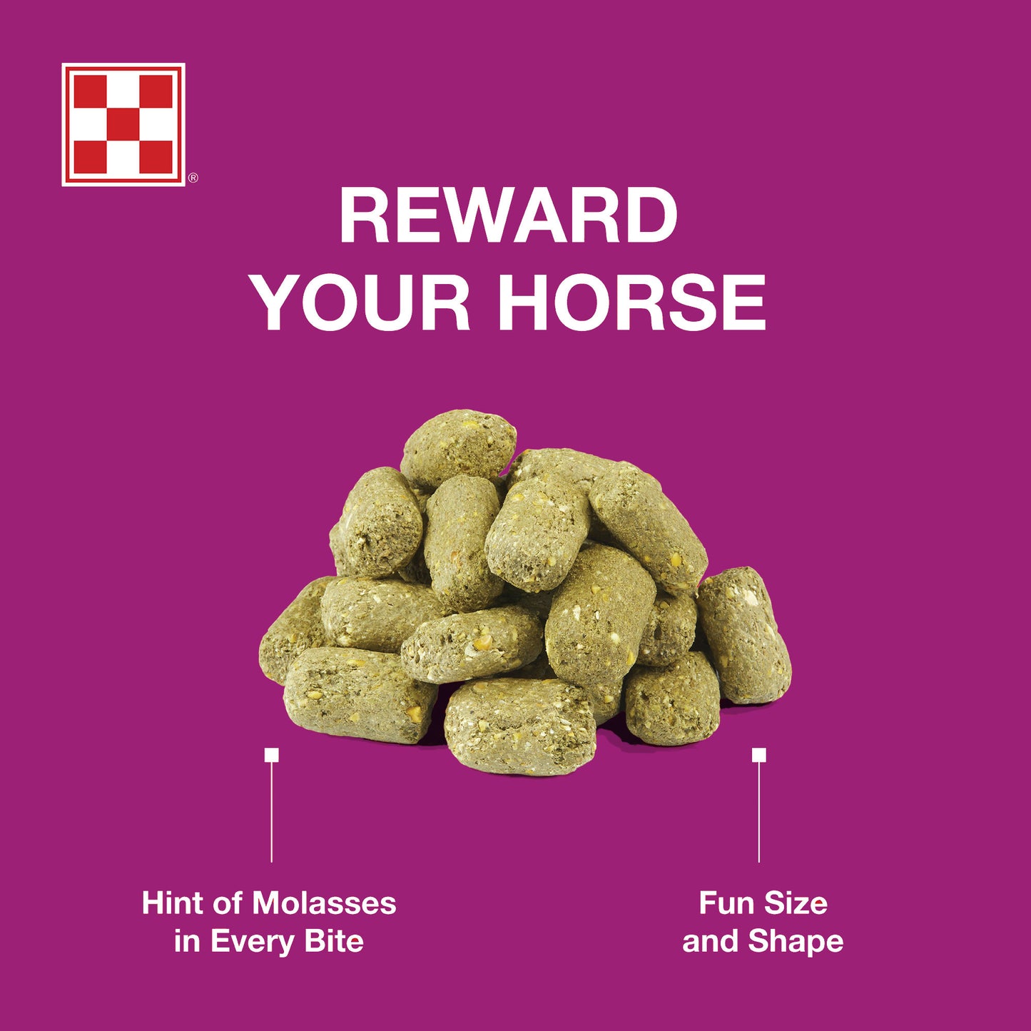 Reward your horse