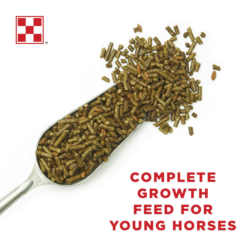 Purina® Equine Junior Horse Feed Fuel Your Young Horse's Growth