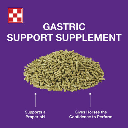 Gastric Support Supplement