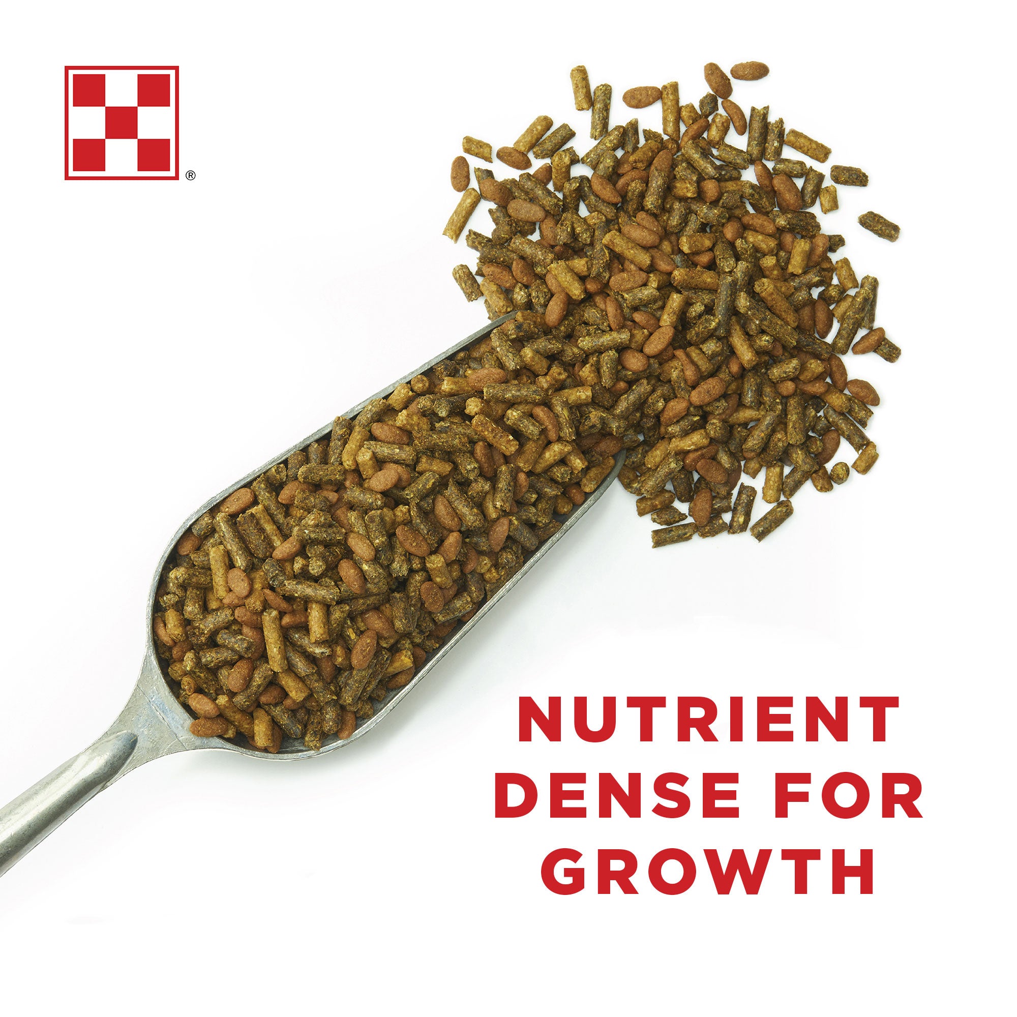 Purina® Ultium® Growth Horse Formula Purina Animal Nutrition