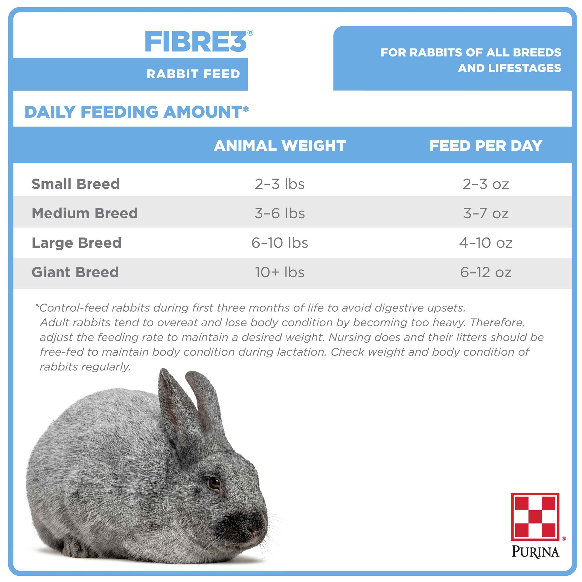 High Fiber Foods for Rabbits  